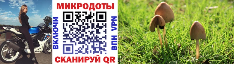 Псилоцибиновые грибы MAGIC MUSHROOMS  Урень 